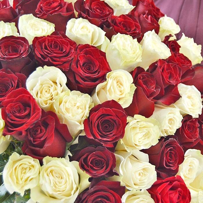 Букет из 75 красных и белых роз