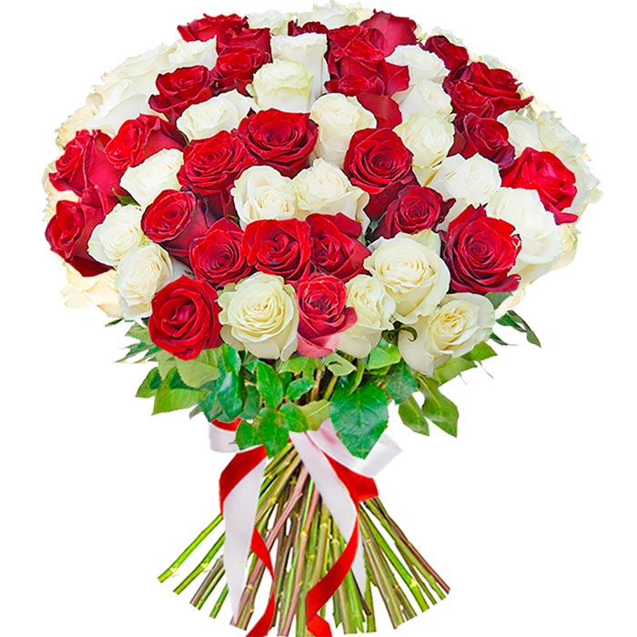 Букет из 75 красных и белых роз